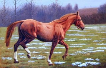 dw021fD animal caballo Pinturas al óleo